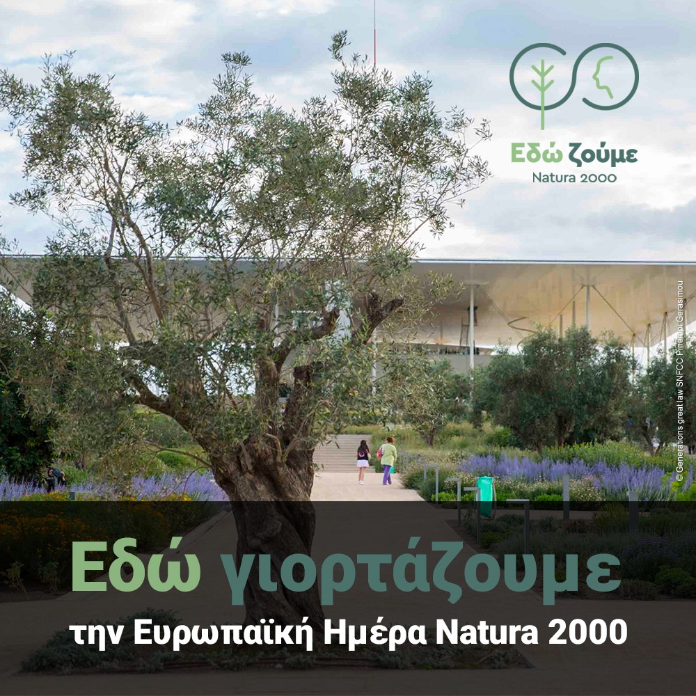 LIFE_TaskForce's tweet photo. 🌳The month's LIFE project - Integrated Project LIFE-IP 4 NATURA @NaturaEdozoume
Coordinating Beneficiary: @YpenGr
Partner: @greenfundgr
#LIFEprogramme #lifeprojectofthemonth #integratedproject #nature #conservation #natura2000 #greece
➡️ https://t.co/TjS5wv1HRL https://t.co/DfdISzDpE3