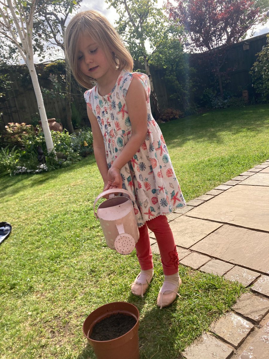 TeessideHigh's tweet photo. Mrs Hannah posted 'forget me not' seeds to our Nursery pupils this week, giving them something to look after whilst remembering their time in class with their friends. We can't wait to see you all again 💙💚🌈 #THSTogether https://t.co/pN7dWaC9Z2