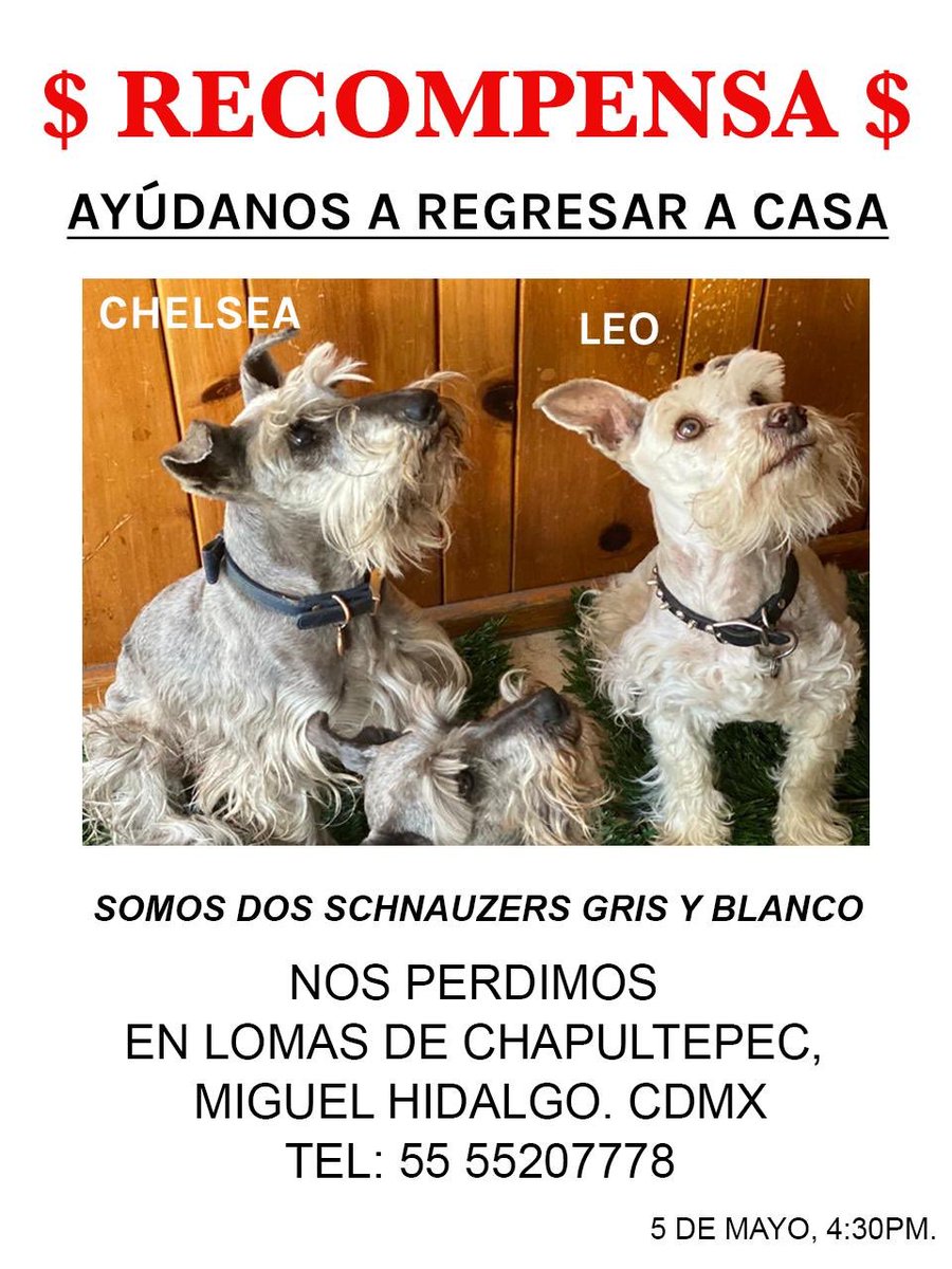 gambsro's tweet photo. @UbicapetMexico https://t.co/xZdahjvABC