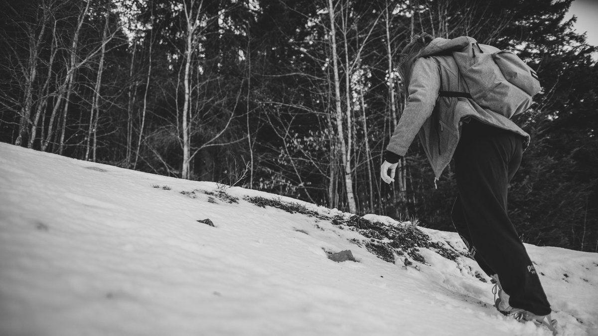 _PurpleMAJ's tweet image. Snowy walks for #TheBackpackProject