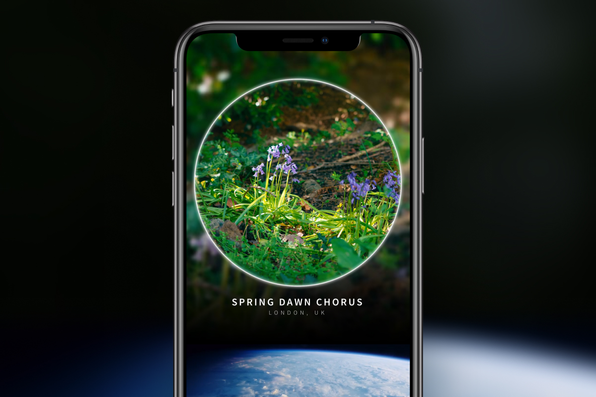 Portal_Labs's tweet photo. *NEW CONTENT ALERT* As London fell quiet in #lockdown  we captured this wonderful #dawnchorus.  Coming your way today on both our FREE &amp; PREMIUM app - it might just be our best showcase for #3Dsounds yet with birds singing &amp; flying from all around (listen with headphones) https://t.co/UHlmshzycP