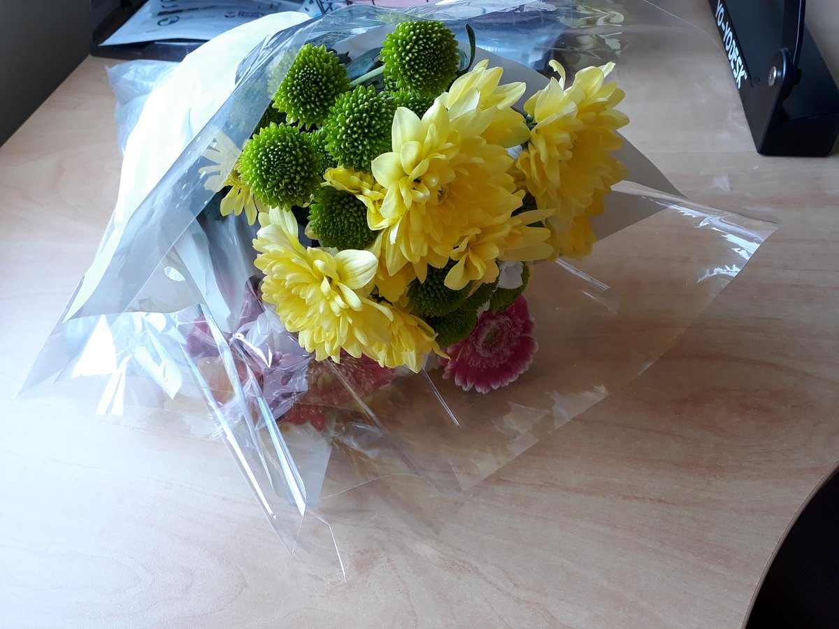 MatronNicola's tweet photo. I have just received these flowers from my Hotel Services Team Leader and her deputy at Frome Hospital which is absolutely lovely and unexpected. Just doing my job.
#KindnessMatters
#luckymatron
@SomersetFT @NormaCoombes
@MatronNickyM https://t.co/fPgnJARsu1