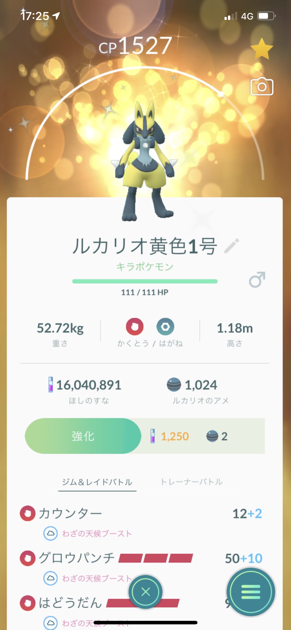 Pokegoラビリンス Sur Twitter 卵から2体目getです 早速 1体を進化完了 ポケモンgo リオル 色違い ルカリオ プレイアットホーム T Co Qxwryhvfnp Twitter