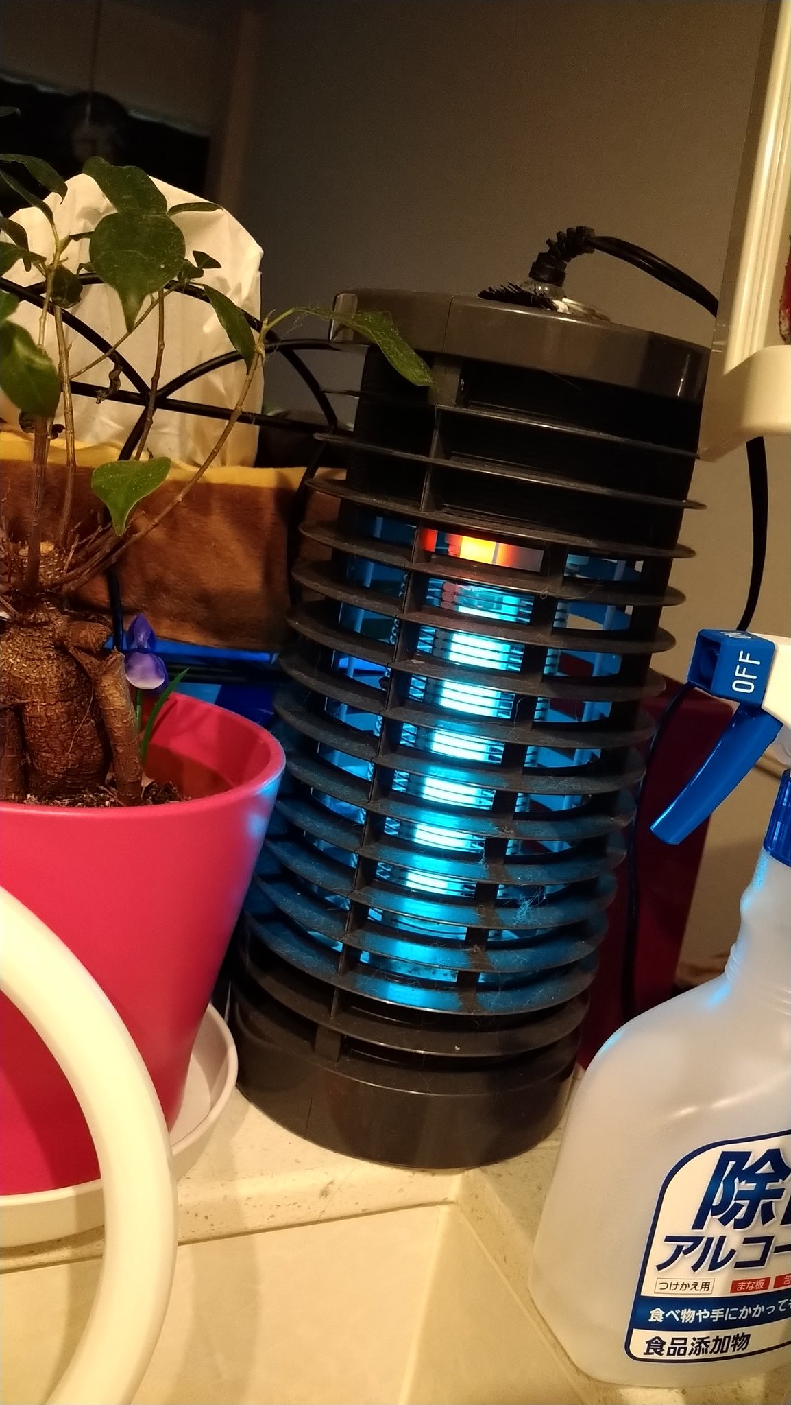 朝野れい 2y 3m On Twitter コバエ 蚊の対策で虫コナーズとかキンチョール とかバルサンとか色々使ってみたけど1番効いたのは電撃殺虫器でしたね これをキッチンに置いてからは夏でもほとんどコバエを見なくなった 赤ちゃんやペットがいても安心なところも良い