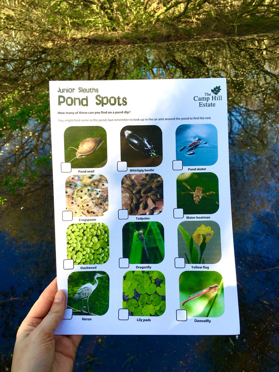 Struggling for something to do today? 🌺☘️🌳

Why not pick one of our many outdoor learning tools and keep yourself entertained and active.

Simply download for #free bit.ly/33OKJZr

#FreeActivity #Lockdown #HomeSchool #LearningFromHome #workingfromhomewithkids