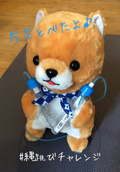 アミューズ Amufun 公式 さん がハッシュタグ 豆しば三兄弟 をつけたツイート一覧 3 Whotwi グラフィカルtwitter分析 アミューズ Amufun 公式 さん がハッシュタグ 豆しば三兄弟 をつけたツイート一覧 3 Whotwi グラフィカルtwitter分析