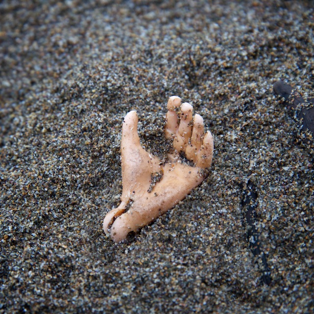 WoollettLisa's tweet photo. Beach finds: Action Man ‘hard hand’ (1966-73) and ‘hip section’ (1966-78). 
No. 2 on the #TravellingMuseumofFinds blog:
https://t.co/eFxToABruS 

#beachcombing  #contemporaryarchaeology https://t.co/4LPTC9Hccb