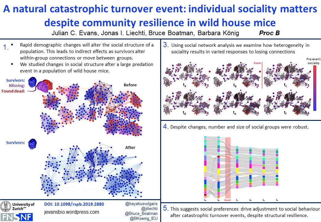 Julian Evans (@jevansbio) on Twitter photo Our paper looking at changes in network structure in house mice in the wake of a major demographic shift is now out: This is my first mouse paper! jevansbio.wordpress.com/2020/05/06/a-n… <a href="/jiliechti/">Jonas I. Liechti</a> @Bruce_Boatman <a href="/BKoenig_IEU/">Barbara König</a> royalsocietypublishing.org/doi/10.1098/rs… Our paper looking at changes in network structure in house mice in the wake of a major demographic shift is now out: This is my first mouse paper! jevansbio.wordpress.com/2020/05/06/a-n… <a href="/jiliechti/">Jonas I. Liechti</a> @Bruce_Boatman <a href="/BKoenig_IEU/">Barbara König</a> royalsocietypublishing.org/doi/10.1098/rs…