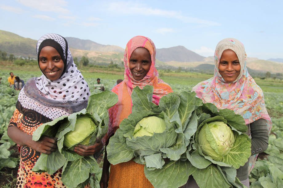 mkulimayoung's tweet photo. With the #COVID19 pandemic keeping more people home, your potential customers are going online to connect with #farmers.

Now is the time to take your farm business online, register for free through https://t.co/X6PS0Hp5aj to connect with markets /buyers directly. #MkulimaYoung https://t.co/qS5CAX27VI