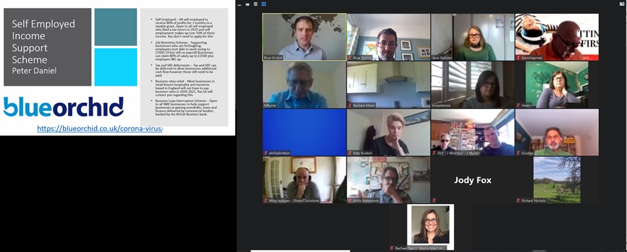 Blue Orchid tweet media