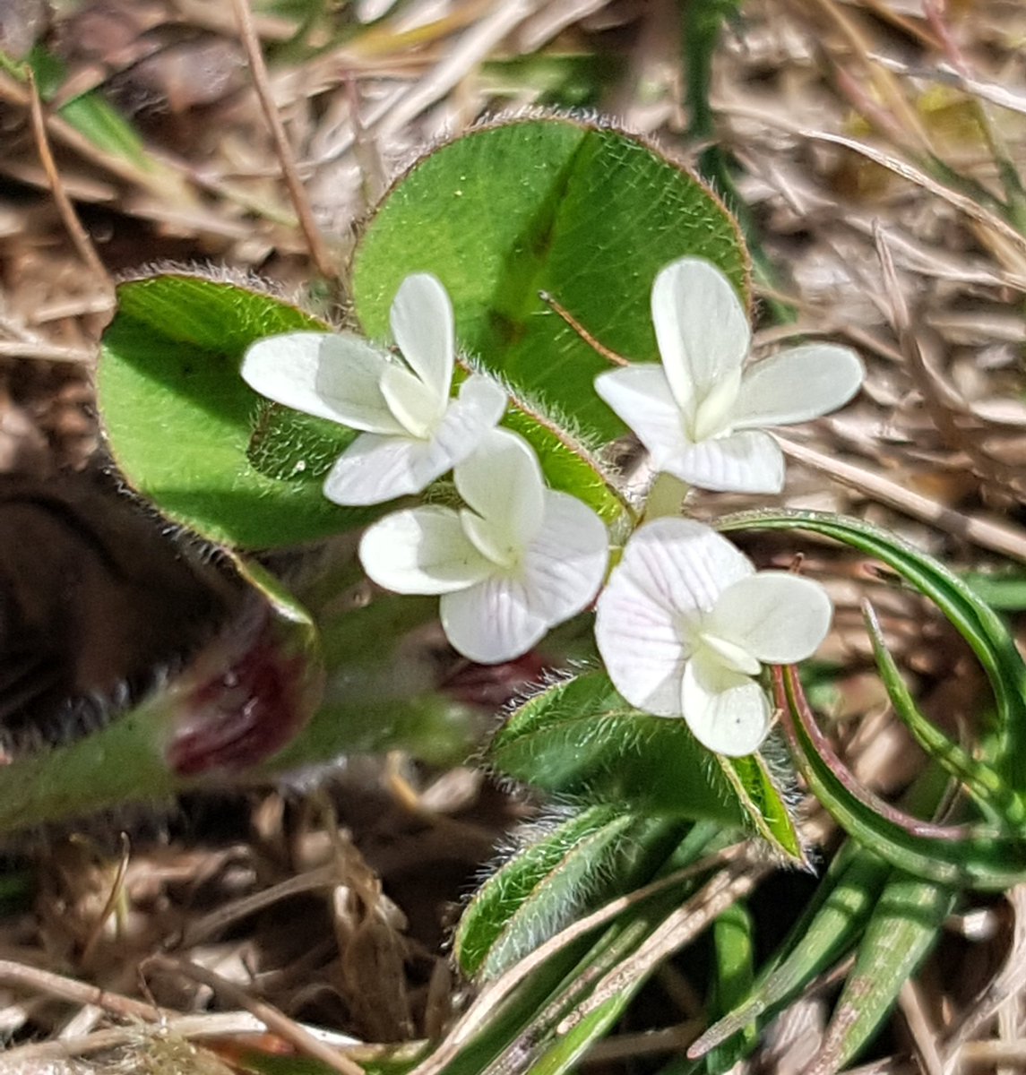 MandyForde tweet media