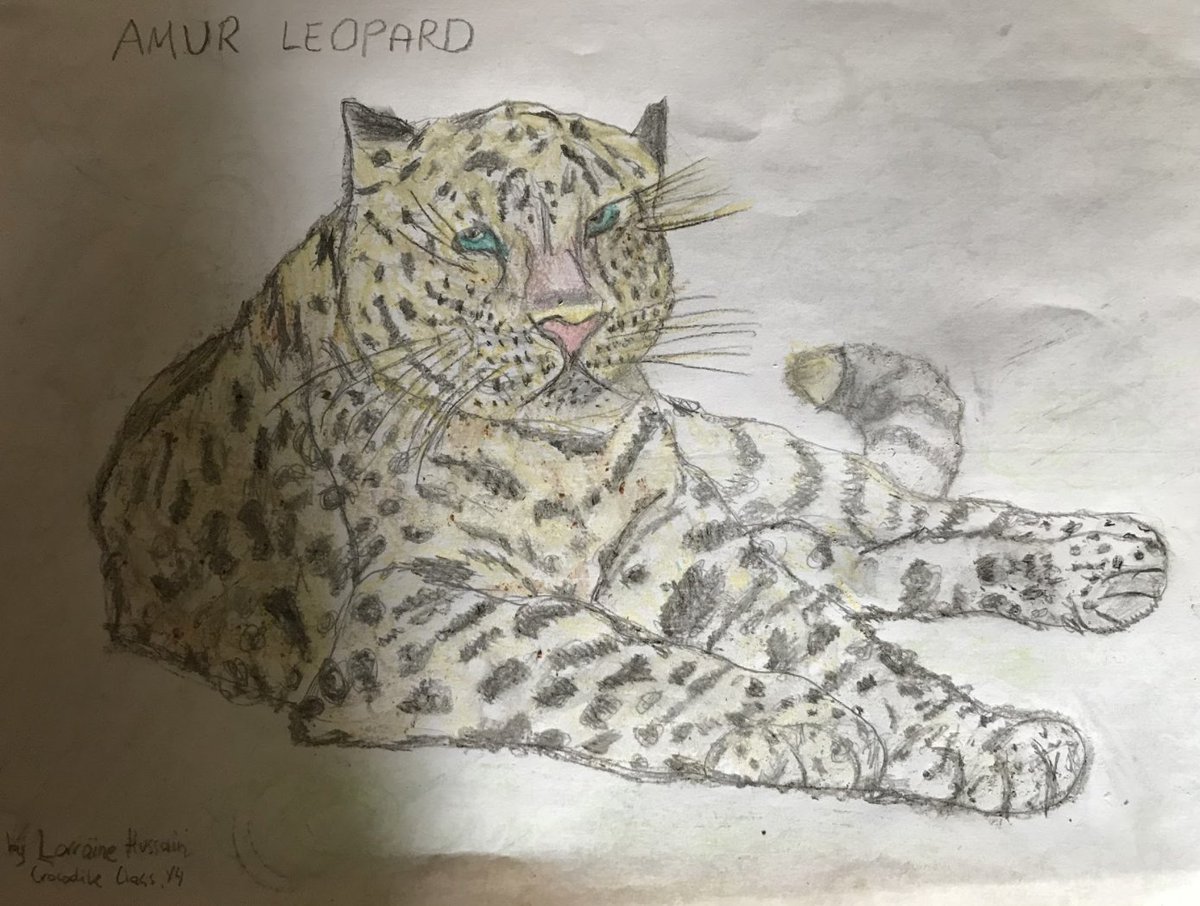 Edmonton County Primary tweet media