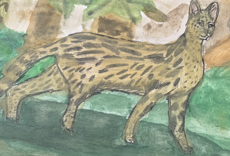 Edmonton County Primary tweet media