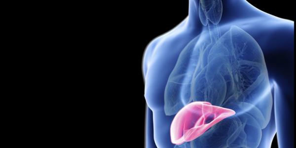 Chronicmeet's tweet photo. New research has revealed a biomarker (NREP) in humans to track the development of the non-alcoholic fatty liver disease that might help doctors detect early stages of the disease - https://t.co/69JYyhRXOi

#chronicillness #liverdisease #COVID19 #research https://t.co/YWRWffstHn