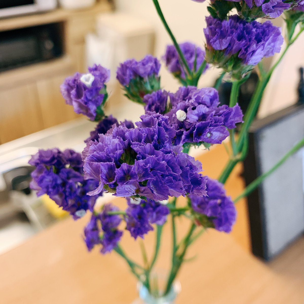 ミオチ スターチスに白いお花がポツポツ咲き始めててかわいい 近所のお花屋さん可愛いお花がいっぱいで迷った