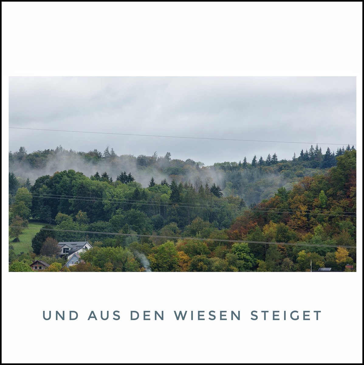 ANDREMIG's tweet photo. ... der weiße Nebel wunderbar.
Blick von Brombach auf die Hügel von Lörrach-Haagen.
#Brombach #loerrach #heimat #südwesten #amg #viw #ww24 #visionwork #werbewerk24 #nebel #natur #stadt #loerrach2020 https://t.co/vY0eSJzUDa