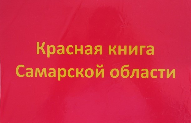 ❗️☝️О недопущении уничтожения редких и находящихся под угрозой исчезновения животных и растений
kuibsamara.ru/news/art853.ht…