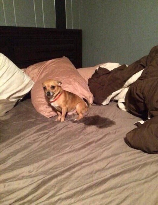 เห็นชาร์ตไอยูแร้วแบบ...