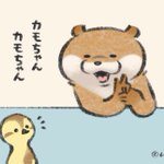 めちゃくちゃにされるなぜか人の顔をもみくちゃにするカワウソが可愛すぎる 話題の画像プラス めちゃくちゃにされるなぜか人の顔をもみくちゃにするカワウソが可愛すぎる 話題の画像プラス