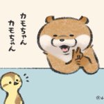 【4コマ漫画】カワウソが〔ウソ〕をついた時のテヘペロが可愛い!