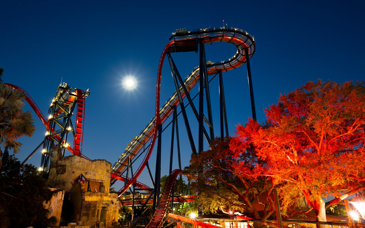 VisitTampaBay's tweet photo. SheiKra at @BuschGardens is roaring in red! What a stunner. Thank you for supporting #NTTW20 ♥️ #SpiritofTravel https://t.co/pRHXfRcIYu
