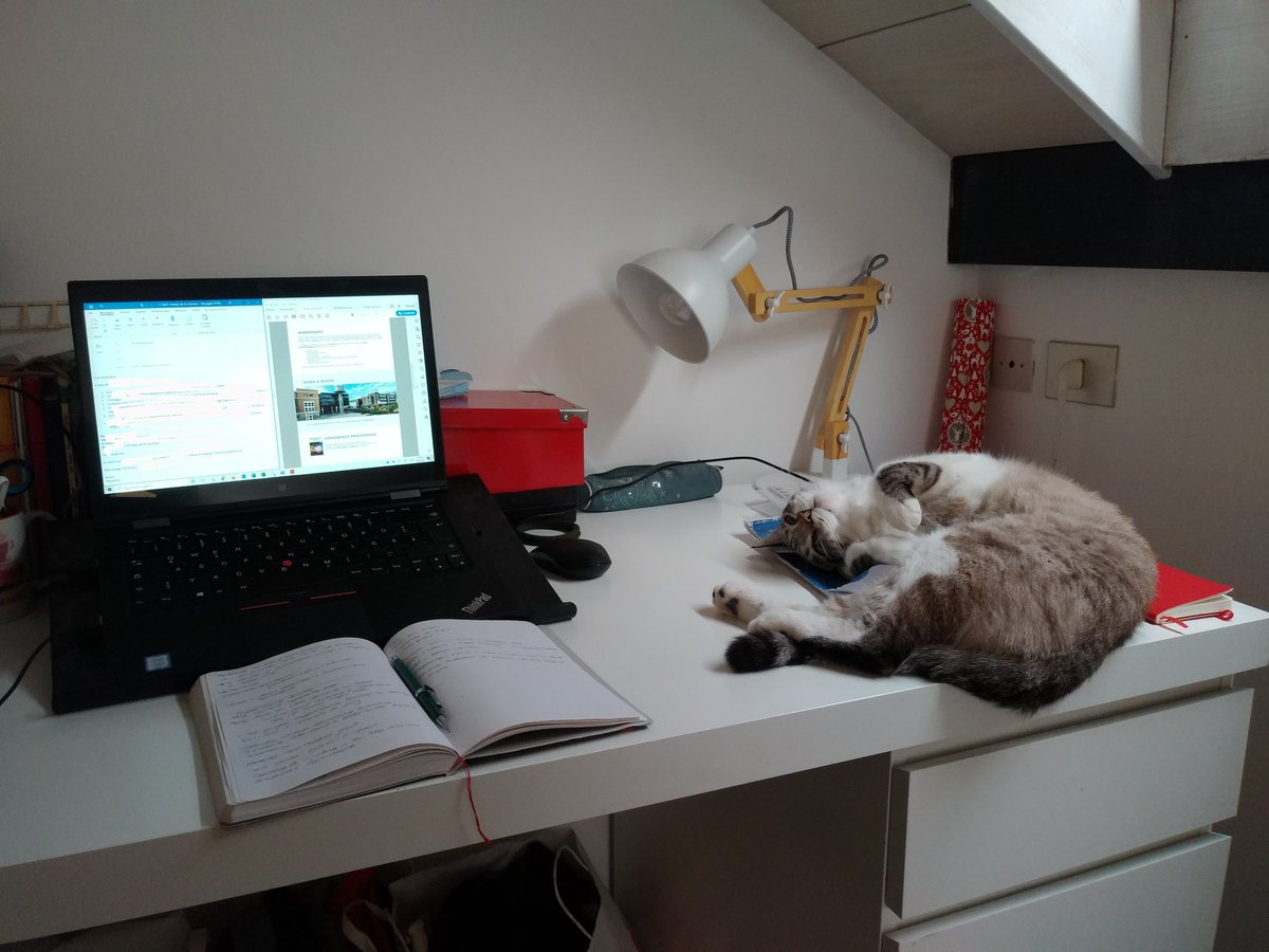 Alessandra Barbieri tweet media