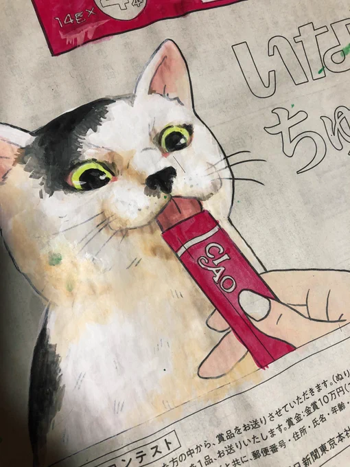 あらやだ。おキャットさまにそっくり。これぞ自画自賛 