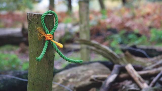 With many farmers looking to protect their workers and themselves from Covid-19 the release of a free health and safety service from <a href="/nfum/">NFU Mutual</a> may be music to your ears buff.ly/3di27cA #coronavirus #FarmHealthAndSafety