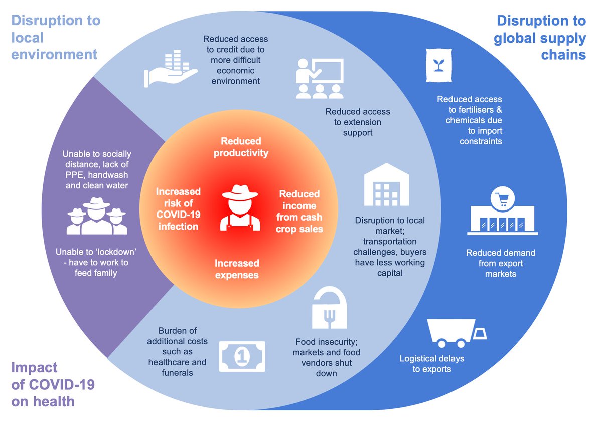 Difficult times ahead for #African #smallholders. We look at the multiple impacts of #COVID19, how #agritech and #digital solutions can help and point to other useful resources in our latest blog. smallholdr.com/2020/05/the-im…