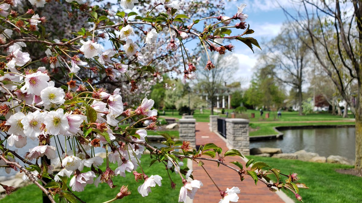 Univ. of Mount Union tweet media