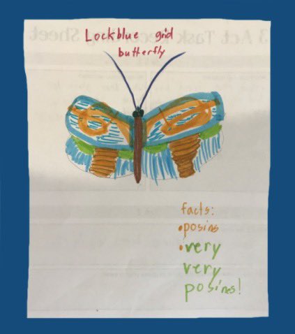 Why are butterflies so colorful? 🦋 Second Graders know that it’s because they are either camouflaging, disguising as a predator, or warning that they are poisonous! #trinitylearns