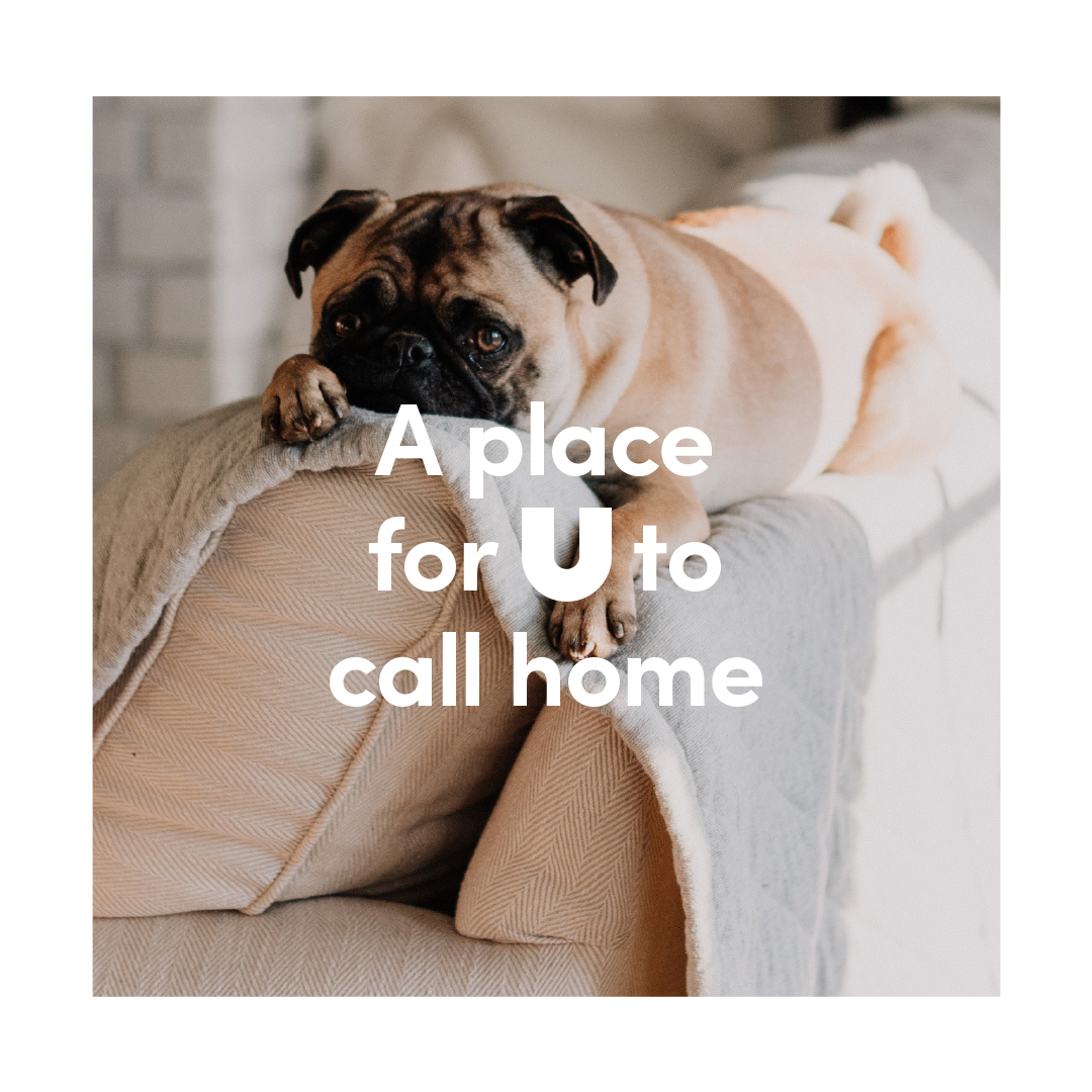 ubyurbeo's tweet photo. Connected to U 🏡

#RentingWithU #LivingWithU #ModernLiving #Urbeo #ALifeMadeForLiving #DublinProperty #DublinRental #RentDublin #HousingDublin #VirtutalViewings https://t.co/ya281B3AGF
