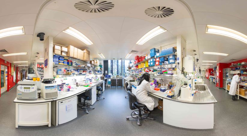 CR_UK's tweet photo. You can now step inside our Cambridge Institute in virtual reality! 📽️ 🧪 Explore how patient samples in the clinic become part of life-saving research in the labs. Download Google Expeditions and search "cancer research" to find out more: https://t.co/cUdr2veVDB https://t.co/yVacEUgOp2