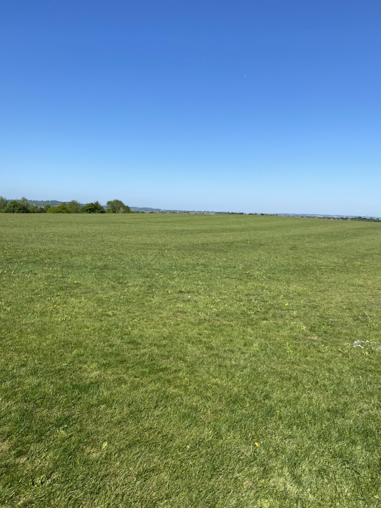 Dr Carly Wood tweet media