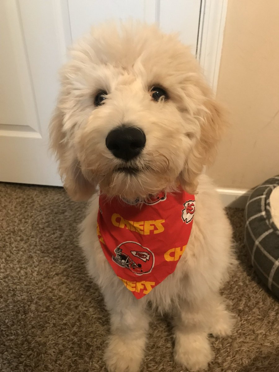 XC_Runner_13's tweet photo. @OkieGymLife Chief Mahomes reps his on the reg https://t.co/GT154BSrOs