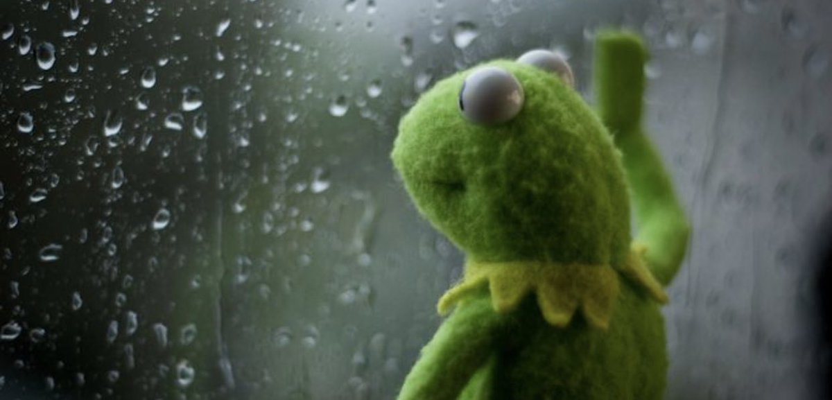 mountainshaman's tweet photo. When you wake up wanting to day trip but you're an adult and have meetings and shit https://t.co/6UjpD2d4j0
