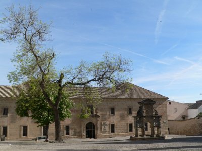 UNIAuniversidad's tweet photo. 💻 Inscripción abierta para curso online de gestión de subproductos de #olivar e industrias afines dirigido por @LaCal_BIOLIZA, socio fundador de @BiolizaL y profesor en @ujaen, @juanespejodelc 🗓 Matrícula hasta 31/8

Abrimos hilo con los docentes ⬇️

🔗 https://t.co/uMzLBa7vCT https://t.co/H7RdENvmY2