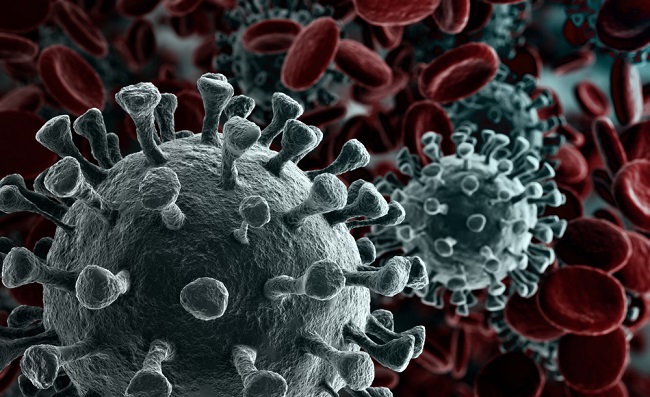 UofGSecretary's tweet photo. Excellent new #COVID19 research by @UofGlasgow scientists showing that there is still only one type of the virus circulating. @CVRinfo researchers have found no evidence #SARSCoV2 has mutated into different types ➡️https://t.co/IjBIVN1UU3 https://t.co/FWfyRgRLs6