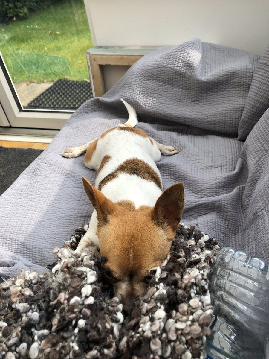 Otto The Dotto (@ottothedotto) / Posts / X