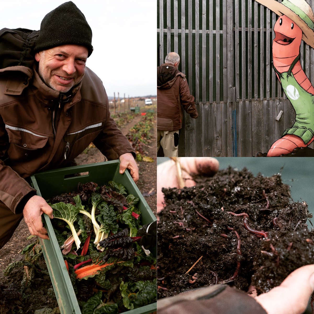 fselighthouse's tweet photo. Behind every farm there’s at least one farmer. In the case of GRAND farms there are millions working hard every day... 🐛 @VERMIGRAND
More info ➡️ https://t.co/3zLGwTH5Pg
#lighthousefarms
#marketgarden #sustainableagriculture #vermiculture https://t.co/Sm9LIj6BS5