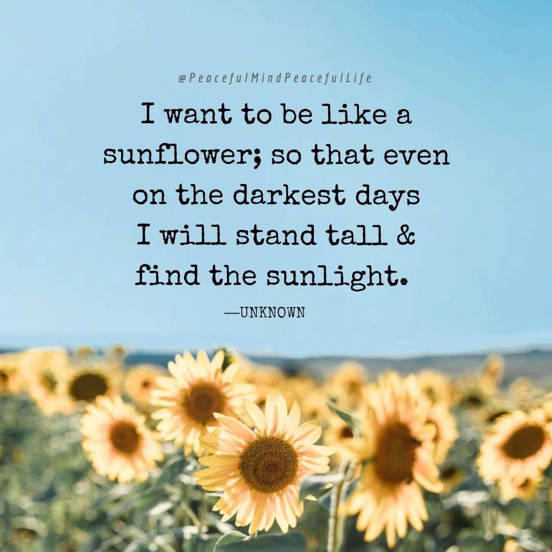 DrTashaF's tweet photo. Be encouraged today family!💚#MentalHealth #BeWell #YouAreLoved #ReframeIt https://t.co/ovQ8deebcV