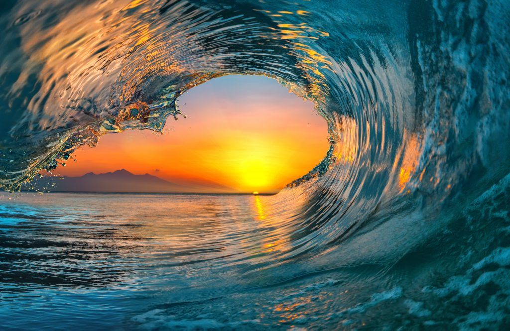 sascampaigns's tweet photo. π CALLING ALL YOUNG OCEAN ACTIVISTS π
(and adults too!)
Introducing our #WavesOfOptimism campaign π
Let's turn our windows into the biggest ocean art gallery ever coordinated. Every wave created will be sending ripples of ocean optimism π€
https://t.co/UQS96Ah8tM https://t.co/RfzoaZkDgz