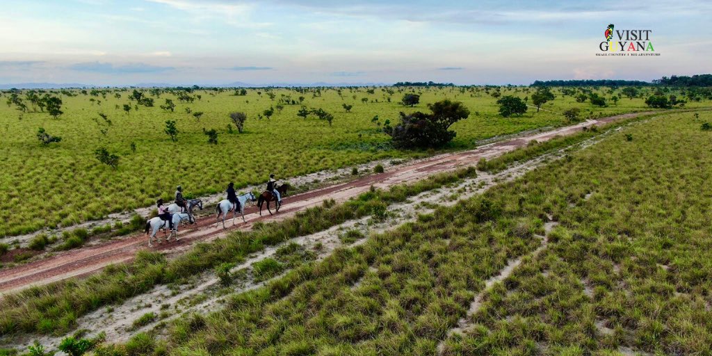 Ahh, the great outdoors....I bet we all have a greater appreciation for it.

This pic was taken during a tour hosted by waikin ranch in Guyana’s Rupununi Savannah. 

#VisitGuyana #Guyana #Rupununi #AdventureTravel #escapeToGuyana #untilwemeetagain
