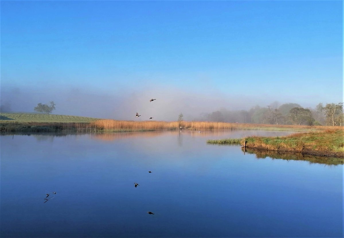 trossachsdirect's tweet image. Dawn breaking on the River Teith in Callander this morning in the Loch Lomond &amp;amp; The Trossachs National Park.

@AquilaEcology 
@robroycountry 
@lomondtrossachs 
@LochLomondCEO 
@naturaltrossach 
@CallandersLand