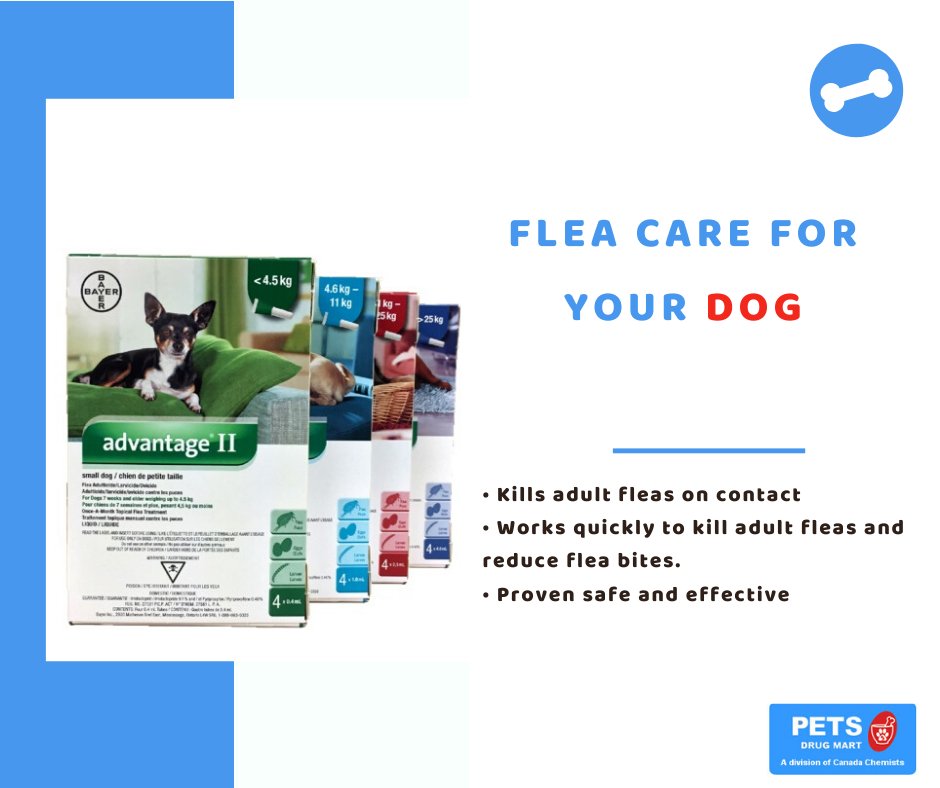 petsdrugmart's tweet image. Got an itchy pet? Flea bites can make your pet miserable and lead to more skin problems. Kill fleas and ticks at all life stages with Capstar Tablets.

Shop now:bit.ly/2VLMPWx 

#PetCare #FleaProtection