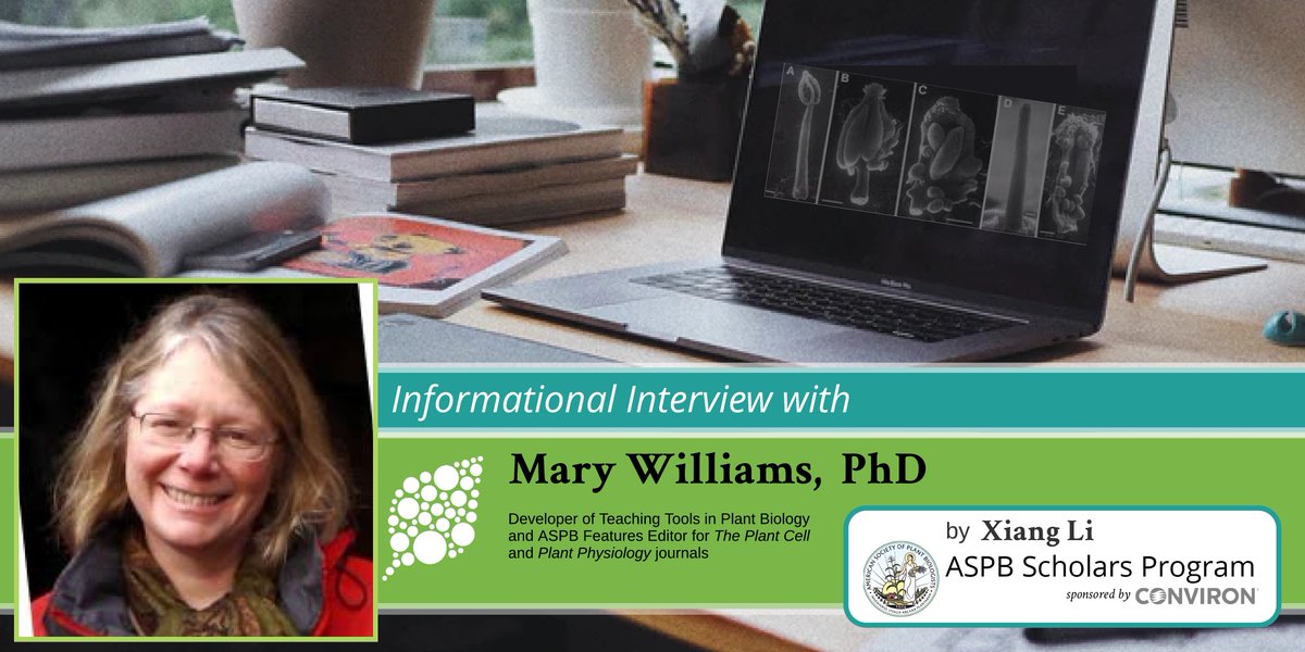 plantae_org's tweet photo. In this interview, @ASPB @Conviron Scholar Xiang Li spoke with Dr. Mary Williams, (@PlantTeaching) developer of Teaching Tools in Plant Biology and Features Editor for @ThePlantCell and @PlantPhys https://t.co/uIZykT306Z https://t.co/4gMo69WcYM