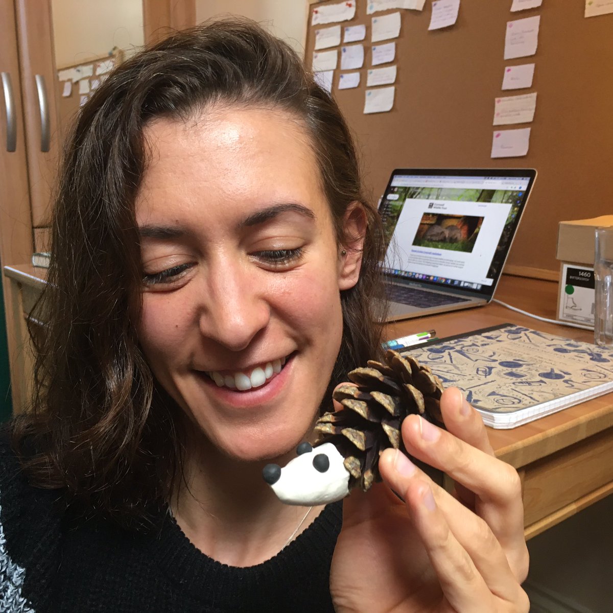 BraveBiscuitStu's tweet image. It’s #hedgehogawarenessweek ! Join @CwallWildlife at 5pm on Facebook Live to talk all things hedgehog and look around a hedgehog-friendly garden #helpthehedgehogs #hedgehogappeal