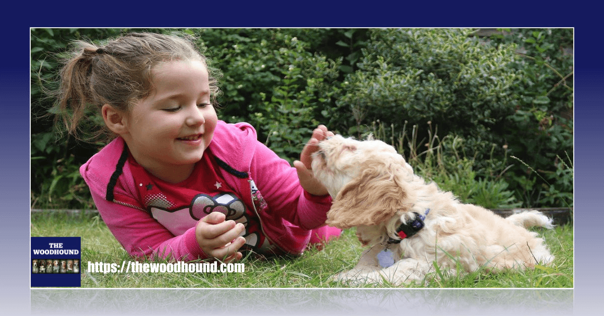 DenaBriley's tweet photo. It's Be Kind To Animals Week!  Find out more about this #dog holiday and more great  #holidaysfordogs in May. => https://t.co/k6VbQmfjhv😀 https://t.co/MrwgypPCxD