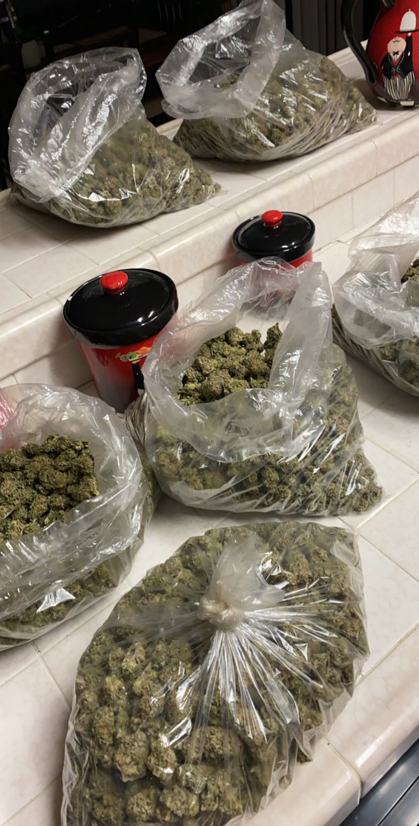 EZ7King420's tweet photo. So much demand lately it’s hard to supply the hood let alone people outta state. Lol Here’s some #bluecookie and #candycookie yeeee Happy WednesDAZE everyone https://t.co/4uwqk4SHbv