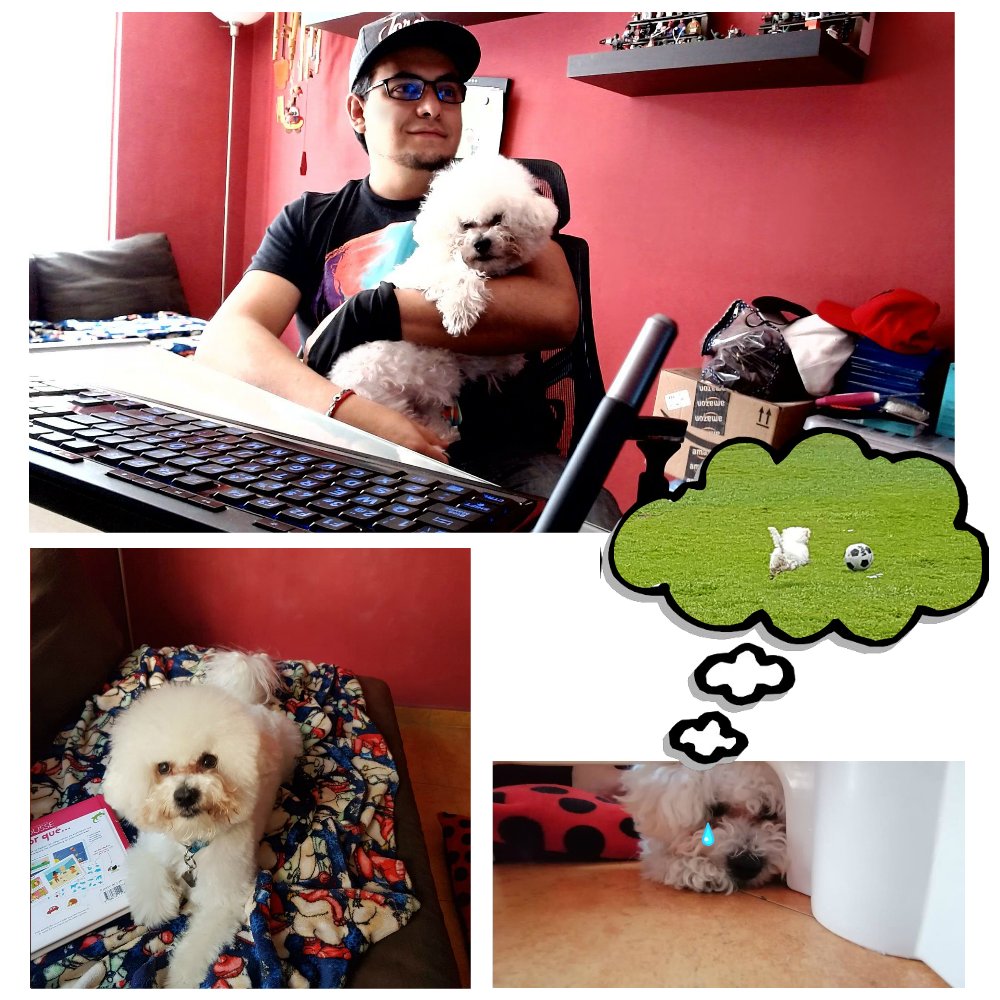 bigstudiosinc's tweet photo. Oscar Hidalgo tells us how his time at home has been:
Always has his little buddy Falcor is around him while working. He also plays a lot with his daughter. Falcor always seems happy even though he doesn't get the walks he use to!  #littleBIGcrew https://t.co/Atby8Z3oCZ